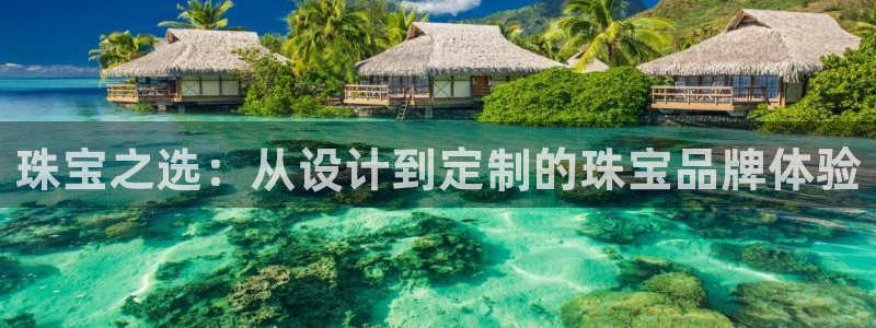 新宝5手机下载