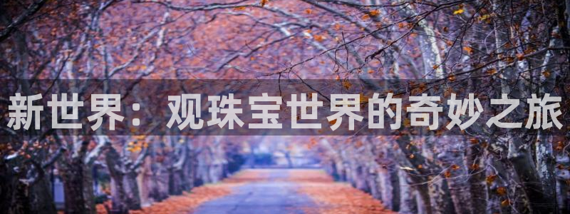 新宝5开好