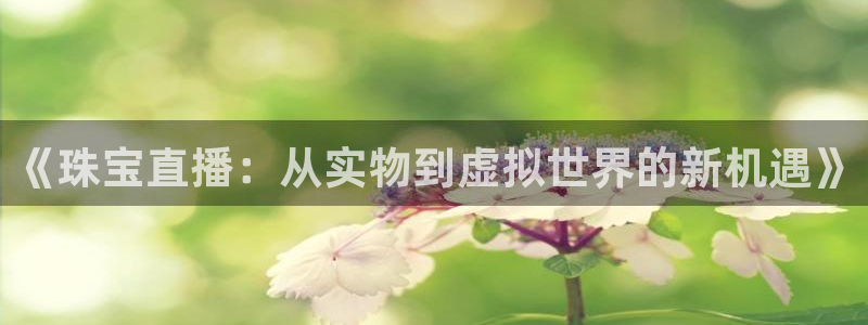 新宝5代理注册