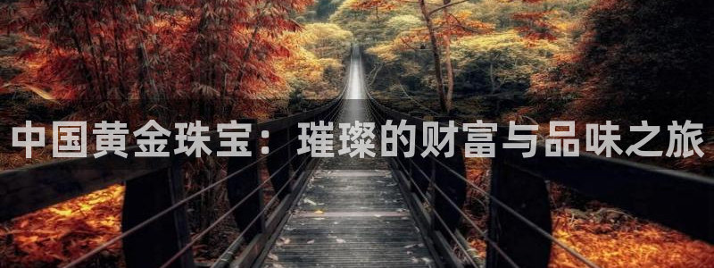 新宝5娱乐注