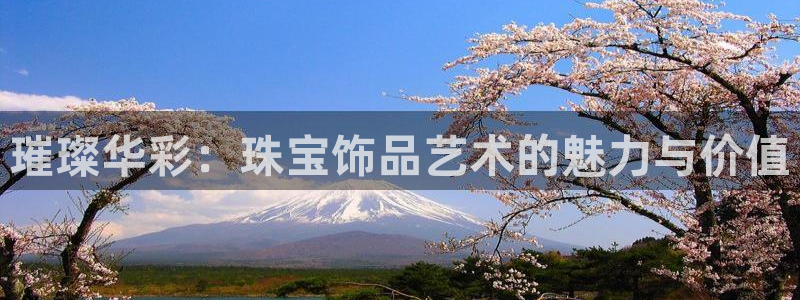 新宝5直属