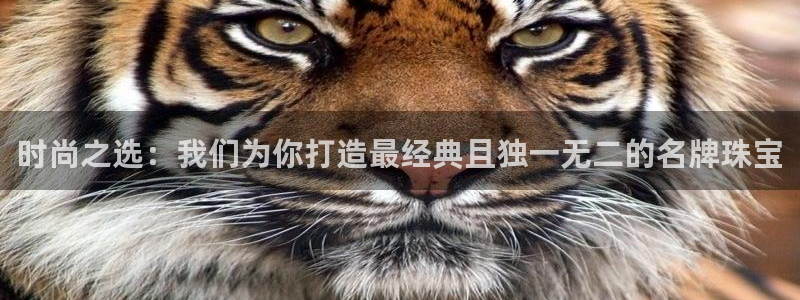 新宝娱乐5入口