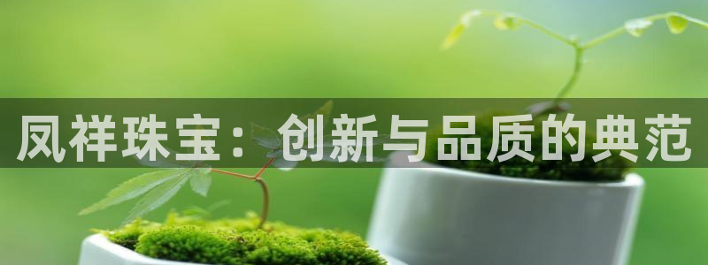 新宝5直属