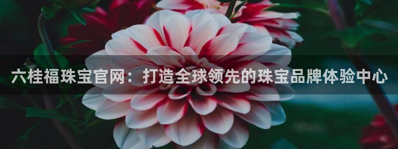 新宝5侹刔