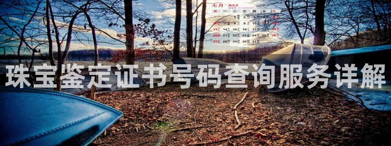 新宝5注册平台：珠宝鉴定证书号码查询服务详解