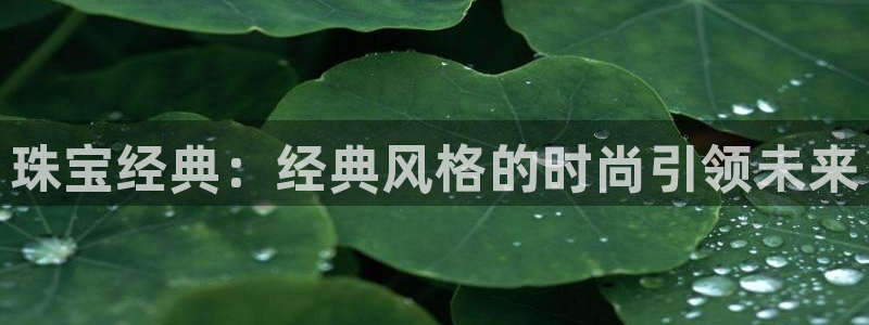 新宝堂新会陈皮5年：珠宝经典：经典风格的时尚引领未来