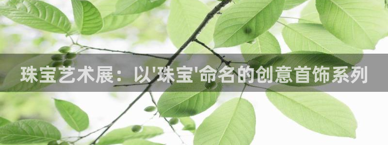 新宝5后：珠宝艺术展：以\'珠宝\'命名的创意首饰系列