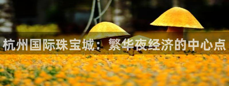 新宝5新宝6顺达：杭州国际珠宝城：繁华夜经济的中心点