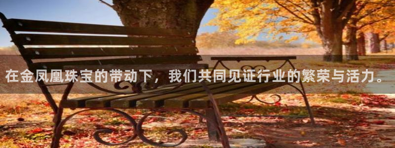 新宝5苹果手机下载：在金凤凰珠宝的带动下，我们共同见证行业的繁荣与活力。