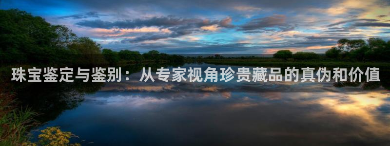 新宝cR一5：珠宝鉴定与鉴别：从专家视角珍贵藏品的真伪和价值