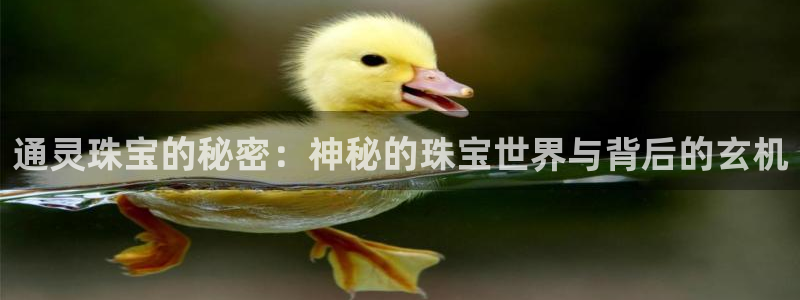 新宝5开户：通灵珠宝的秘密：神秘的珠宝世界与背后的玄机