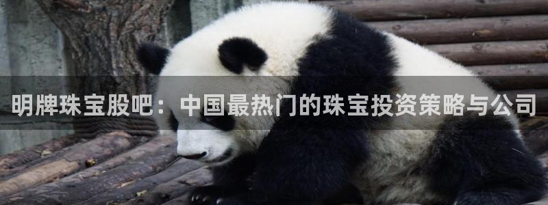 新宝5巅峰：明牌珠宝股吧：中国最热门的珠宝投资策略与公司