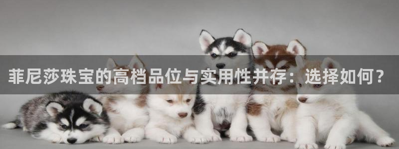 新宝5 代理：菲尼莎珠宝的高档品位与实用性并存：选择如何？