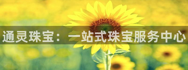 新宝新5：通灵珠宝：一站式珠宝服务中心