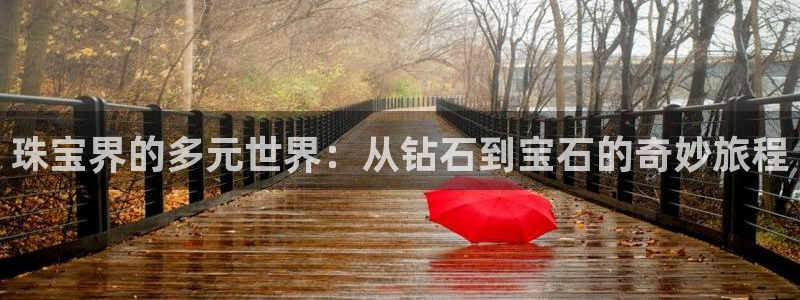 新宝5平台注册：珠宝界的多元世界：从钻石到宝石的奇妙旅程