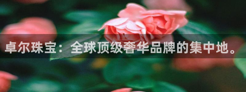 5新宝：卓尔珠宝：全球顶级奢华品牌的集中地。