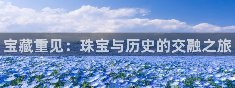 新宝5球维33 300：宝藏重见：珠宝与历史的交融之旅