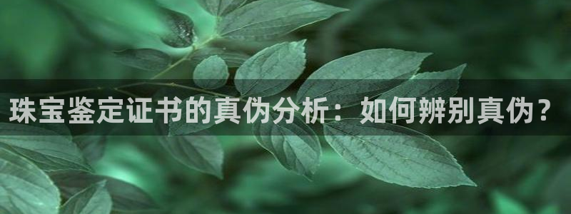 新宝5为啥开：珠宝鉴定证书的真伪分析：如何辨别真伪？
