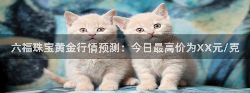 新宝5代理：六福珠宝黄金行情预测：今日最高价为XX元/克
