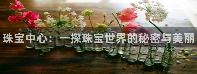 新宝5测速在线：珠宝中心：一探珠宝世界的秘密与美丽