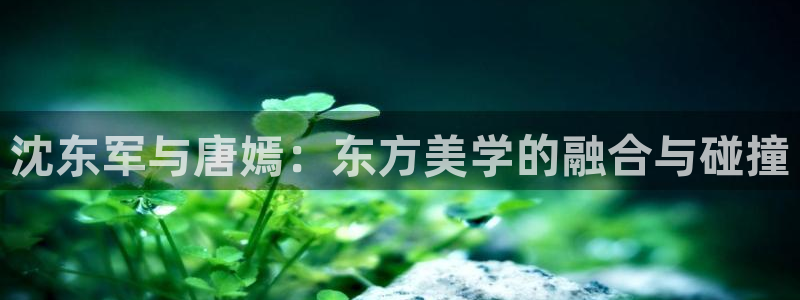 新宝5褚32OO59：沈东军与唐嫣：东方美学的融合与碰撞
