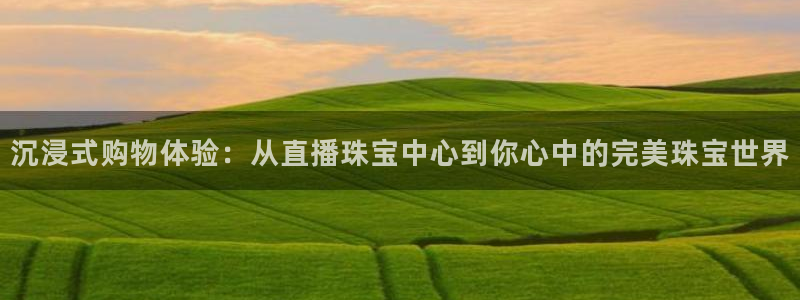 新宝5内部：沉浸式购物体验：从直播珠宝中心到你心中的完美珠宝世界