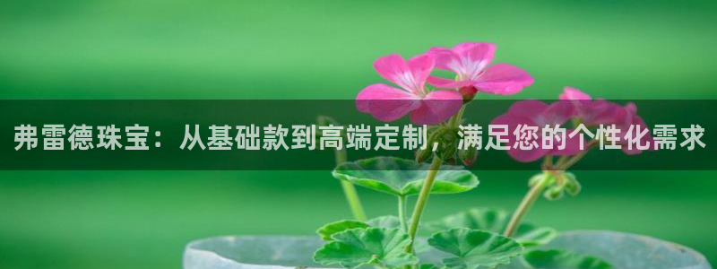 新宝5 - 测速登陆：弗雷德珠宝：从基础款到高端定制，满足您的个性化需求