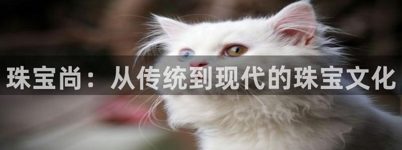 新宝5彩票是正规平台吗：珠宝尚：从传统到现代的珠宝文化