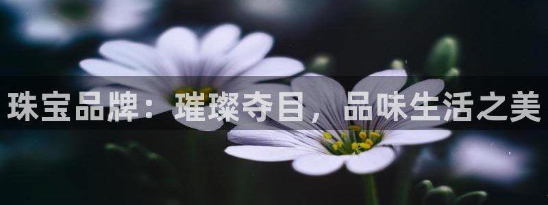 新宝5官网67五壹叁八：珠宝品牌：璀璨夺目，品味生活之美