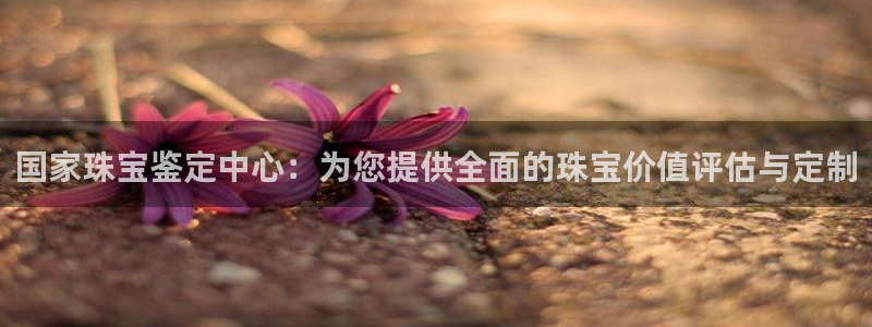 新宝5是什么：国家珠宝鉴定中心：为您提供全面的珠宝价值评估与定制