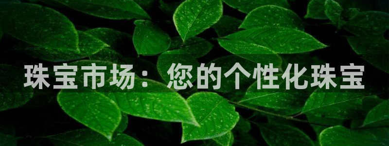 新宝5如何注册：珠宝市场：您的个性化珠宝