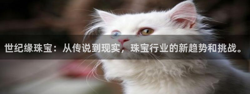 新宝股东王听2 5 5：世纪缘珠宝：从传说到现实，珠宝行业的新趋势和挑战。