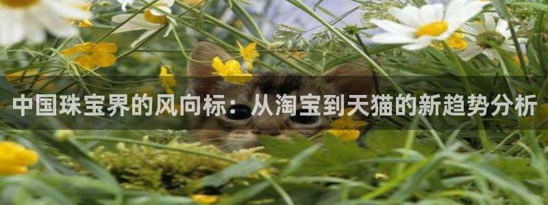 新宝5娱乐招商：中国珠宝界的风向标：从淘宝到天猫的新趋势分析