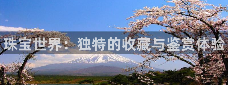 新宝5平棋牌：珠宝世界：独特的收藏与鉴赏体验