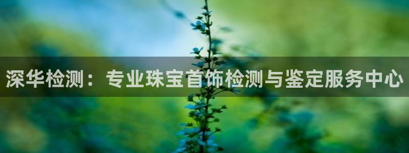 新宝5为啥开：深华检测：专业珠宝首饰检测与鉴定服务中心