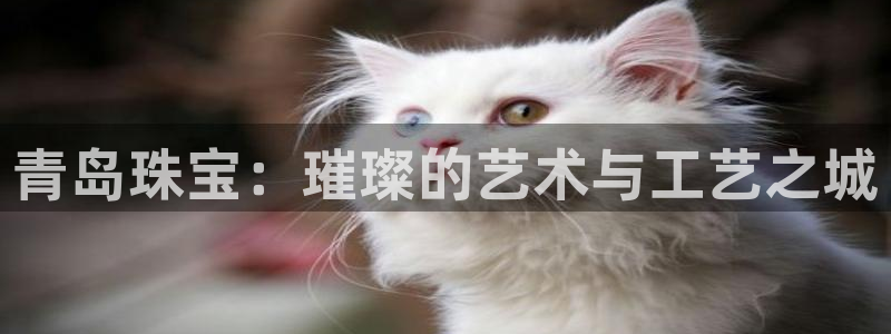 新宝5彩票娱乐平台：青岛珠宝：璀璨的艺术与工艺之城