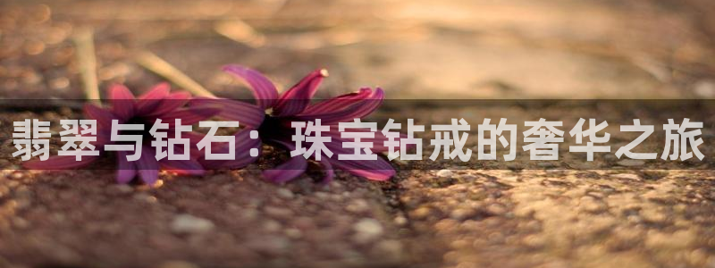 新宝5月：翡翠与钻石：珠宝钻戒的奢华之旅