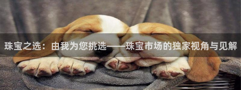 新宝5下载到桌面：珠宝之选：由我为您挑选——珠宝市场的独家视角与见解