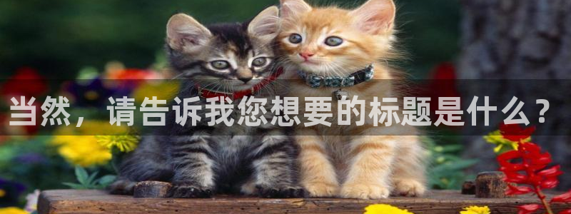 新宝rm5：当然，请告诉我您想要的标题是什么？