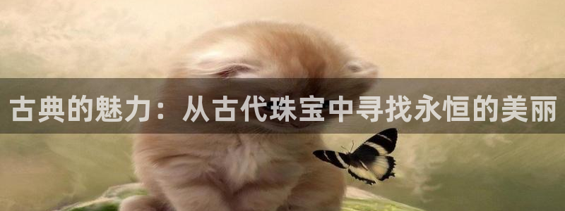 新5宝：古典的魅力：从古代珠宝中寻找永恒的美丽