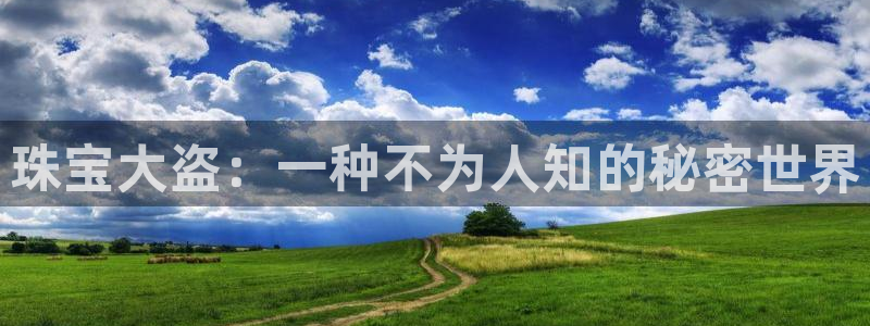 新宝5注册：珠宝大盗：一种不为人知的秘密世界
