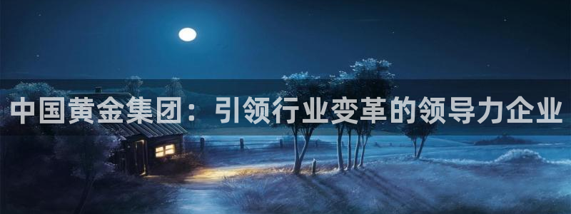 新宝5测：中国黄金集团：引领行业变革的领导力企业
