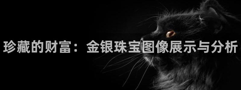老新宝5授权登录：珍藏的财富：金银珠宝图像展示与分析