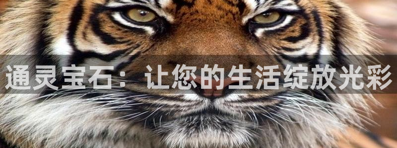 新宝5账号注册：通灵宝石：让您的生活绽放光彩