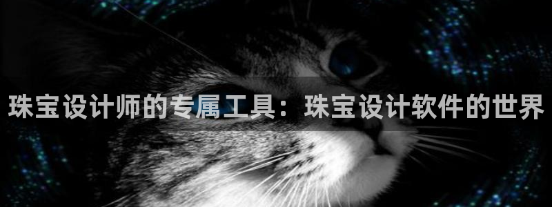 新宝5日740005蔻：珠宝设计师的专属工具：珠宝设计软件的世界