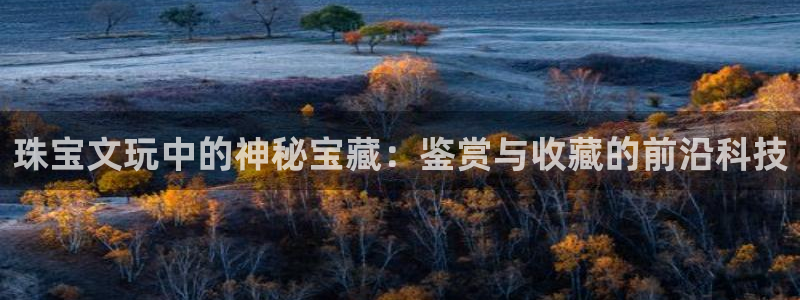 新宝5代理注册：珠宝文玩中的神秘宝藏：鉴赏与收藏的前沿科技