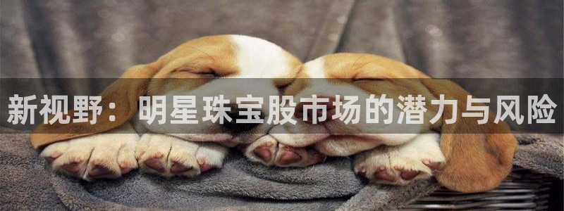 新宝5平台登陆：新视野：明星珠宝股市场的潜力与风险