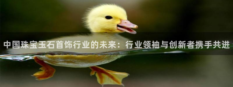 新宝5软件下载：中国珠宝玉石首饰行业的未来：行业领袖与创新者携手共进