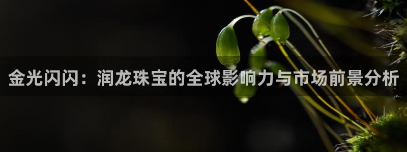 新宝5公司：金光闪闪：润龙珠宝的全球影响力与市场前景分析