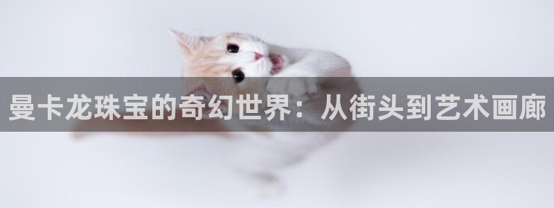 新宝5寂创33300散：曼卡龙珠宝的奇幻世界：从街头到艺术画廊